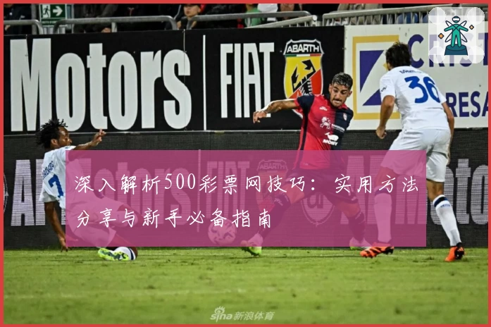 深入解析500彩票网技巧：实用方法分享与新手必备指南
