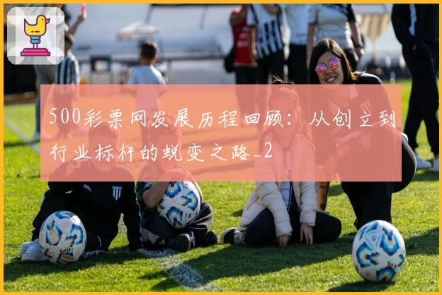 500彩票网发展历程回顾：从创立到行业标杆的蜕变之路_2